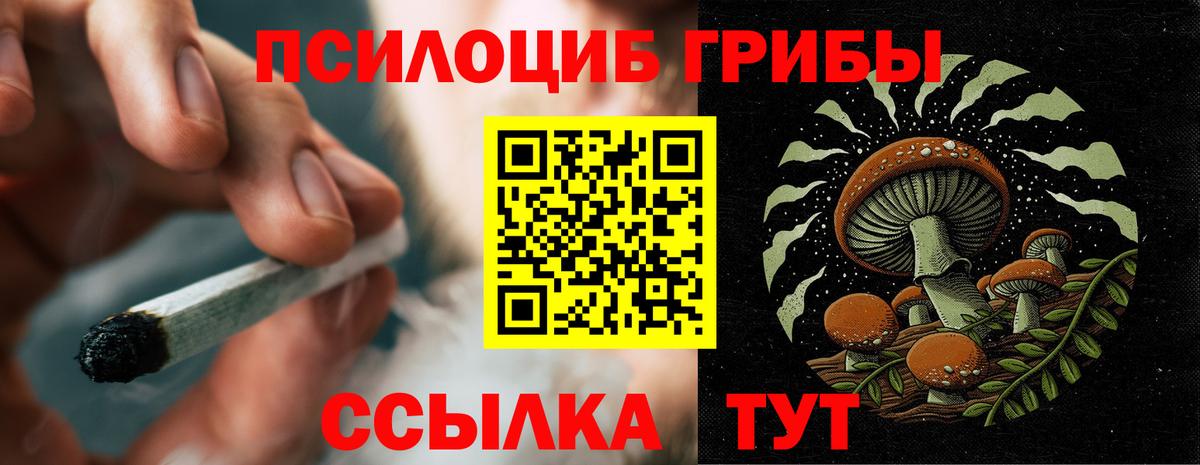 Псилоцибиновые грибы GOLDEN TEACHER  Вход с VPN  Славгород  Галлюциногенные грибы Magic Shrooms 